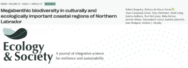 Megabenthic biodiversity in culturally and ecologically important coastal regions of Northern Labrador