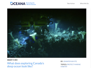 Ocean conservation blogs